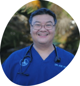 Joe Fong, DVM